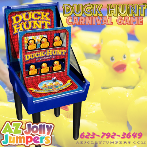 Duck Hunt game