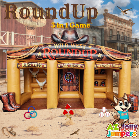 Roundup 3 in 1 Game