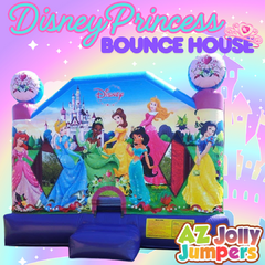 13x13 Princess Disney 