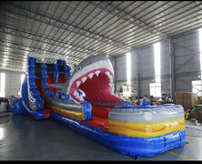 20ft x 48ft   Jaws Dual Ln water slide with pool