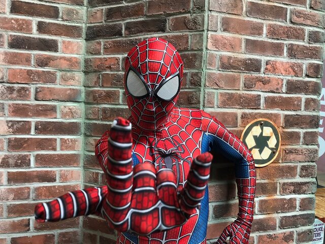 Spider Hero
