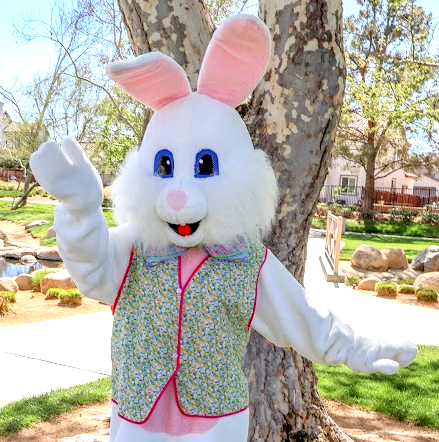 Easter Bunny Character