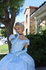 Glass Slipper Princess