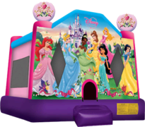 Disney Princess Palace