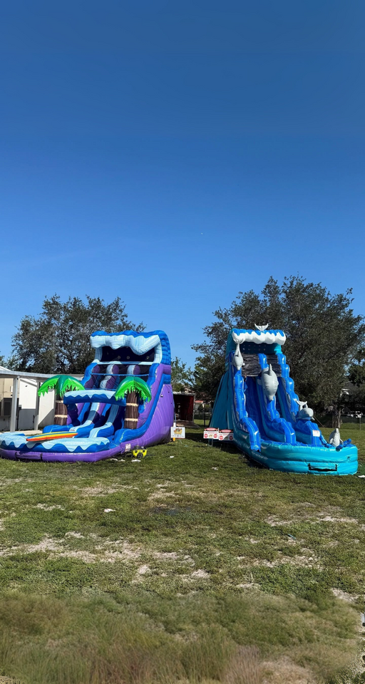 Jolly Times inflatable water slides with palm trees and dolphins on grass field. Jolly Times inflatable water slides with palm trees and dolphins on grass field.