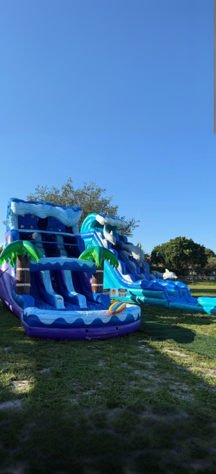 Jolly Times inflatable water slides with ocean wave and dolphin designs, featuring tropical palm tree decorations, set up outdoors on grass under a clear blue sky. Jolly Times inflatable water slides with ocean wave and dolphin designs, featuring tropical palm tree decorations, set up outdoors on grass under a clear blue sky.