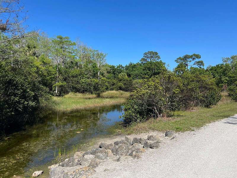 Cypress Creek Natural Area Cypress Creek Natural Area