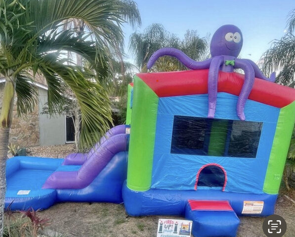 Wet or Dry Octopus Bouncer Slide Combo