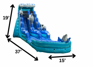 19’ Dolphin Slide (removable pool)