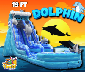 19’ Dolphin Slide wet or dry (removable pool)
