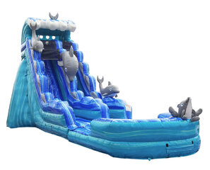 19’ Dolphin Slide wet or dry (removable pool)