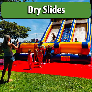Dry Slide renatls cat