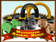Animal Ride Package