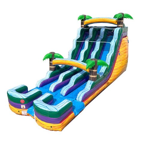 Yellow Tropical inflatable slide rental in Chapel Hill, NC
