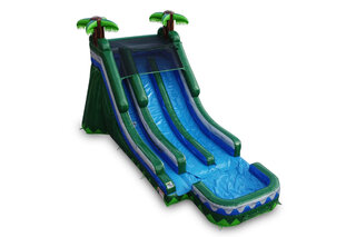 20ft Jungle Dual Dry Slide