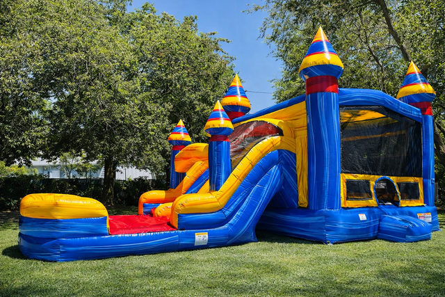 Melting Arctic Bouncy with Dual Lane Slides Wet/Dry