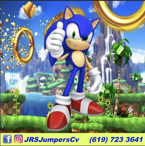 Sonic banner 