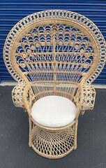 Peacock Chair 