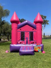 Pink Castle 