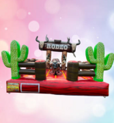 Mechanical Rides