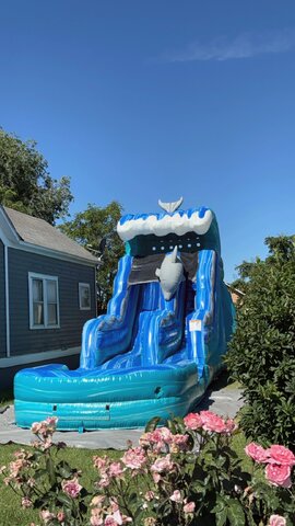 Dolphin Single Slide