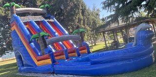 25ft Tropical Double Slide