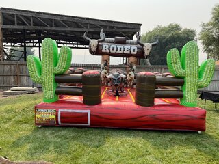 Mechanical Bulls
