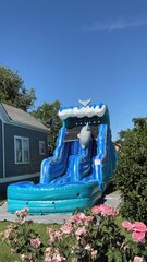 Dolphin Single Slide