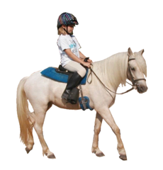 Item 05: Pony Rides - 2 Ponies Hourly