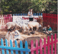 Item 01: Standard Petting Zoo