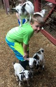 Goat Yoga Childcare
