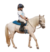 Item 05: Pony Rides - 2 Ponies Hourly