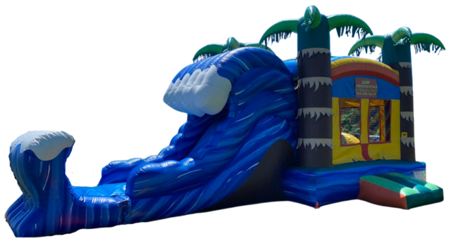 Paradise Falls Bounce N Slide (Dry)