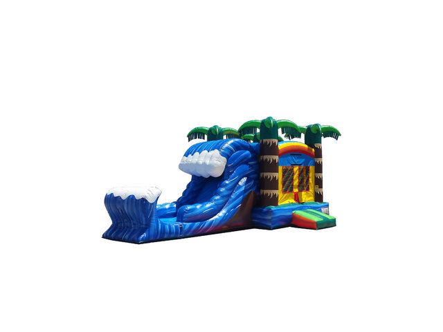 Paradise Falls Bounce N Slide (Dry)