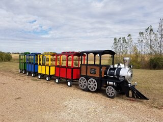 Trackless Train Experience w/ Conductor