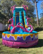 Mysterious Jungle 19' Tall Water Slide or Dry Slide