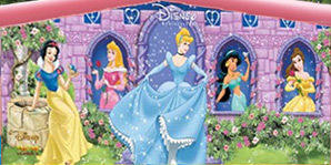 Panel Disney Princess