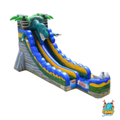 16ft Jurassic Waterslide W/ Splash Pad (Hot Online Special) was 419
