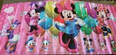 Panel Minnie Mouse