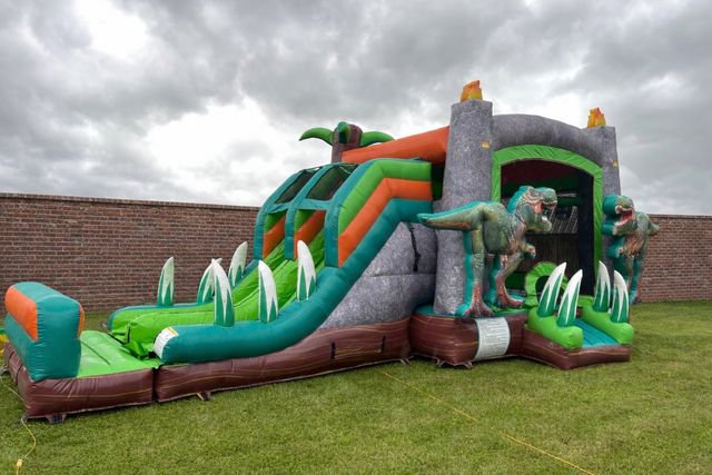 Dinosaur Kingdom Combo Wet or Dry