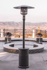Large Patio Heater W/ Propane Tank