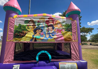  Princess banner  Rental  ONLY