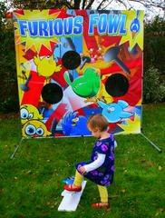 Carnival Game Furious Birdie Launch