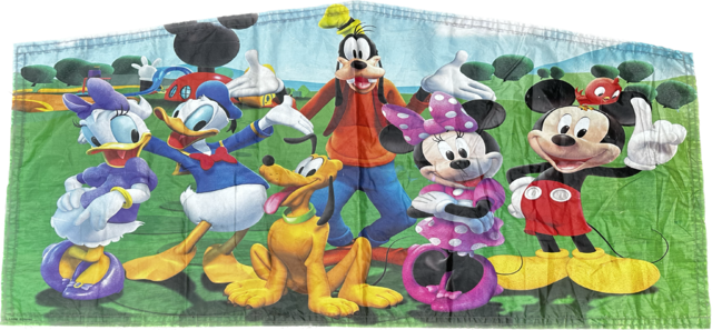 Mickey and Mini Banner