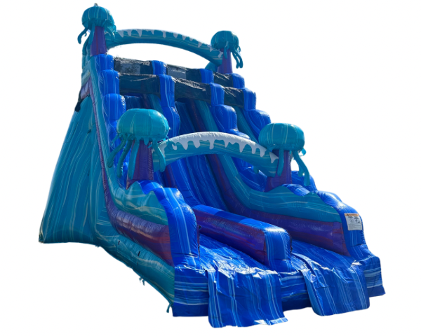 20 Foot Blizzard Blast Double Lane Slide