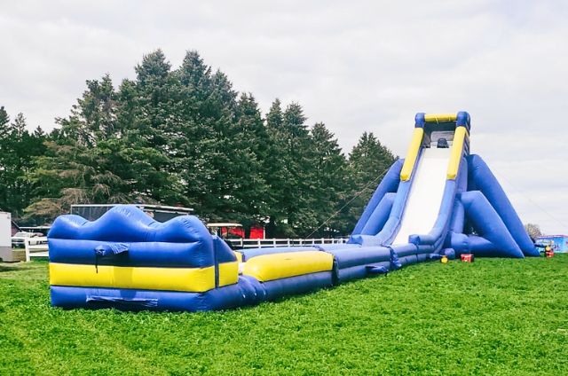 4 Story Hippo Water Slide Rental