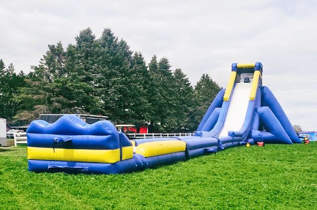 4 Story Hippo Water Slide Rental In The Twin Cities