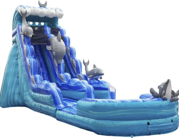 20ft Dolphin Water Slide