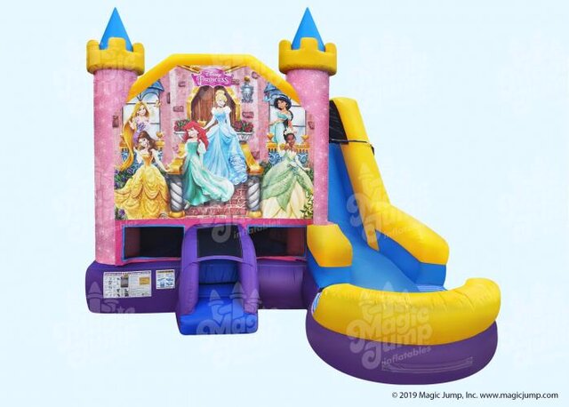 Disney Princess 6 in 1 Wet or Dry Combo