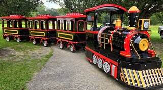 Trackless Train (4 Hours)